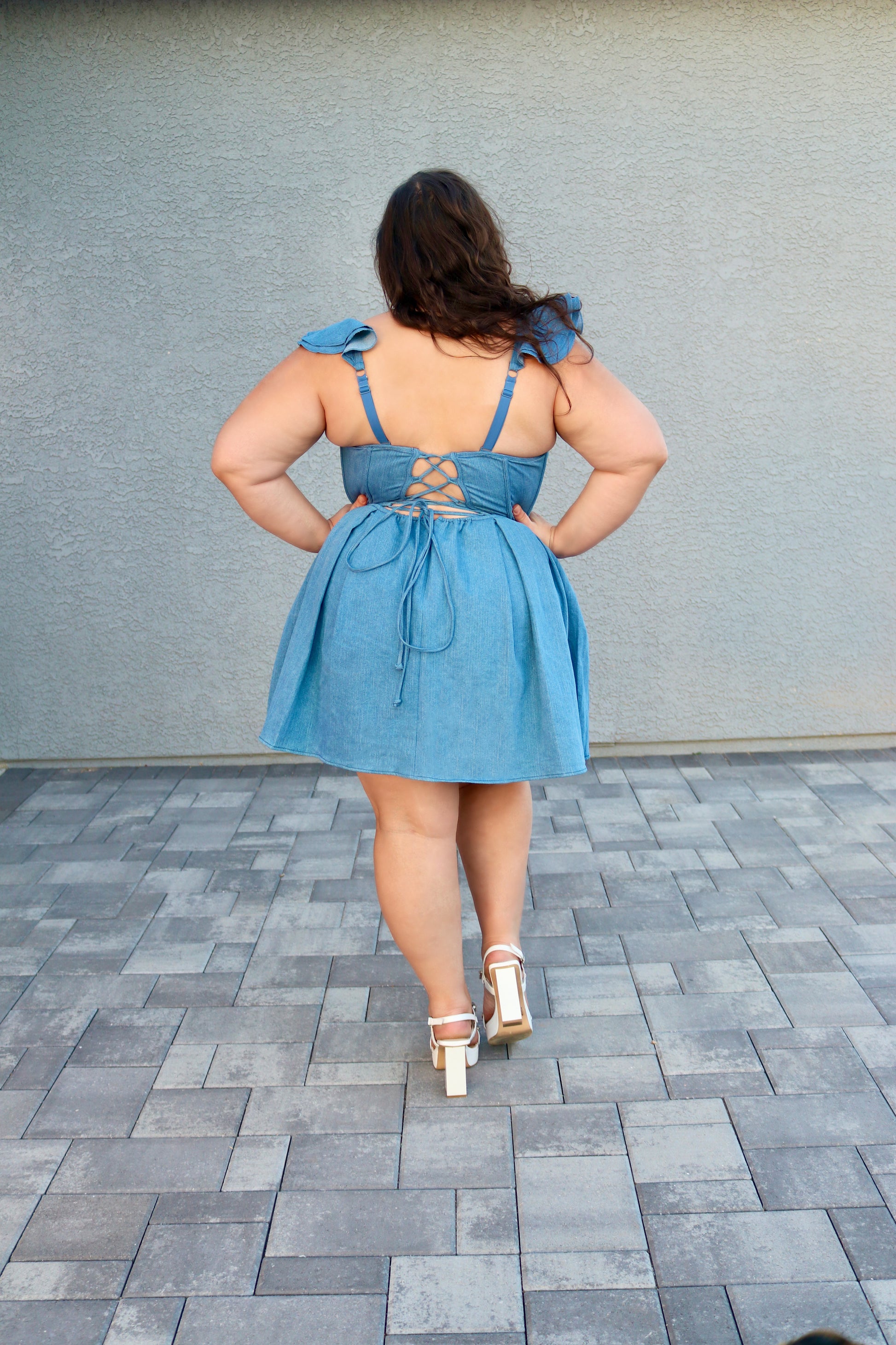 Carol Denim Dress Blue / 5X Carol Denim Dress Blue / 5X